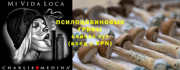 амфетамин Алексеевка