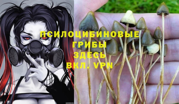 стафф Алзамай