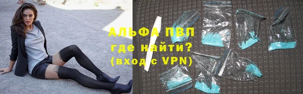 прущие грибы Новодвинск