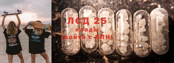 стафф Алзамай