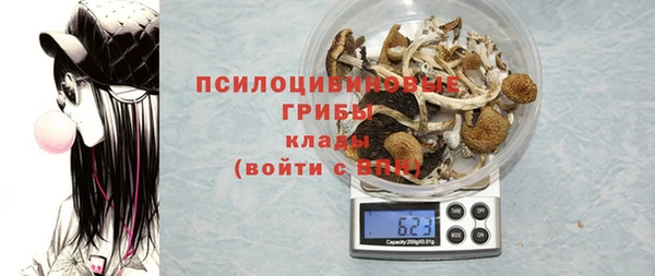 стафф Алзамай