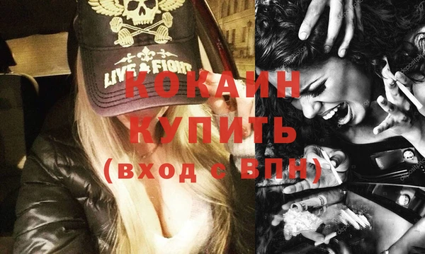 стафф Алзамай