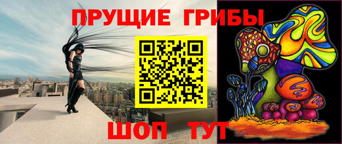 цены   Галлюциногенные грибы GOLDEN TEACHER  Вход с VPN  Лабинск  Галлюциногенные грибы Magic Shrooms 
